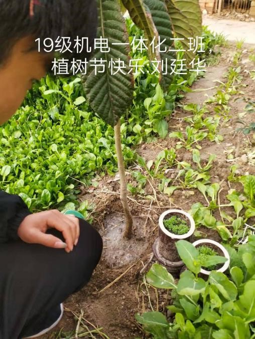 谈球吧体育官网入口