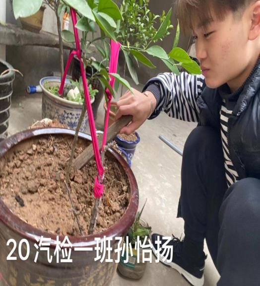 谈球吧体育官网入口