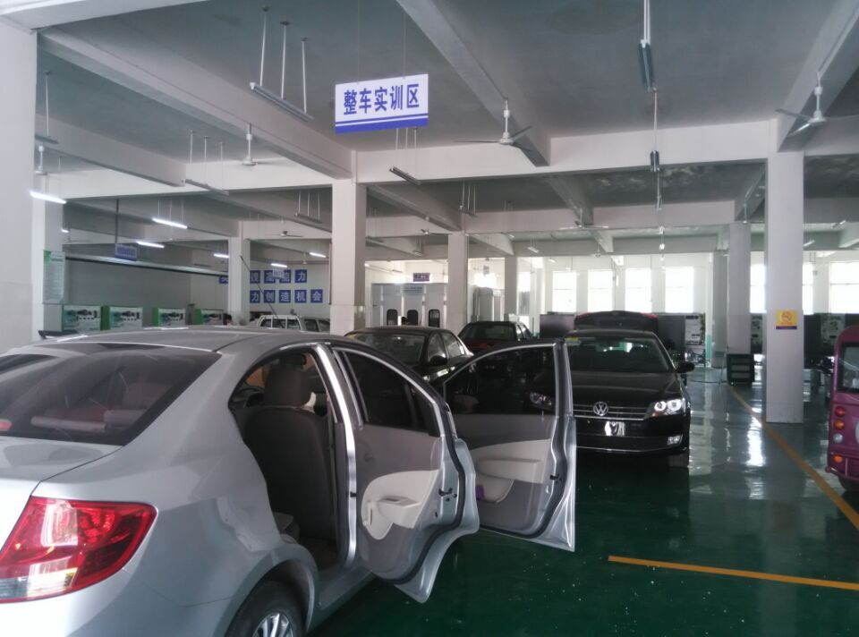 谈球吧体育官网入口