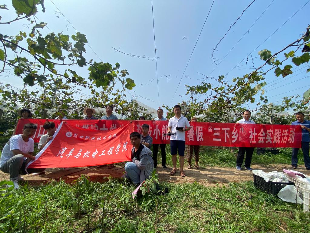 谈球吧体育官网入口