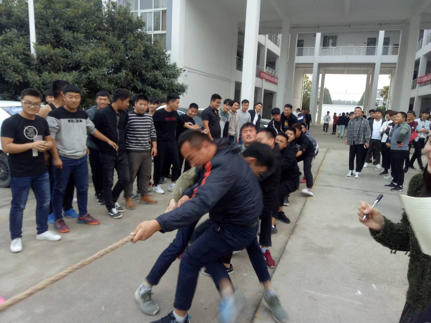 谈球吧体育官网入口