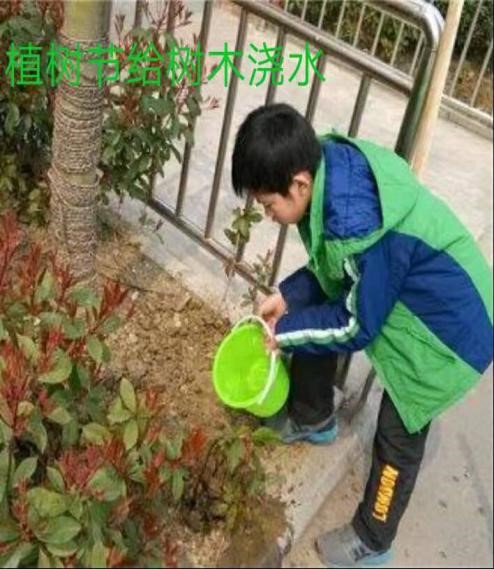谈球吧体育官网入口